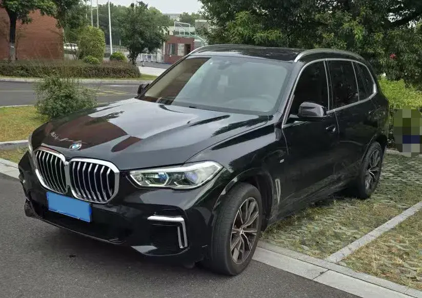 2022 BMW X5 view 1