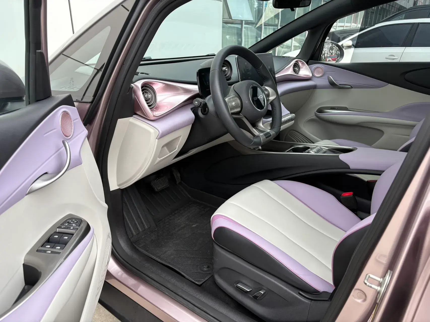 2021 BYD DOLPHIN thumbnail 4