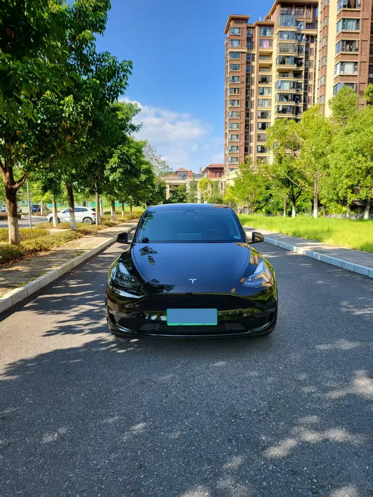 2021 TESLA MODEL thumbnail 2