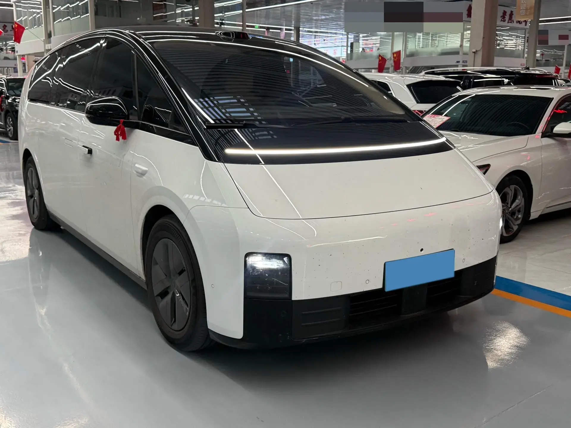 2025 LI MEGA thumbnail 3