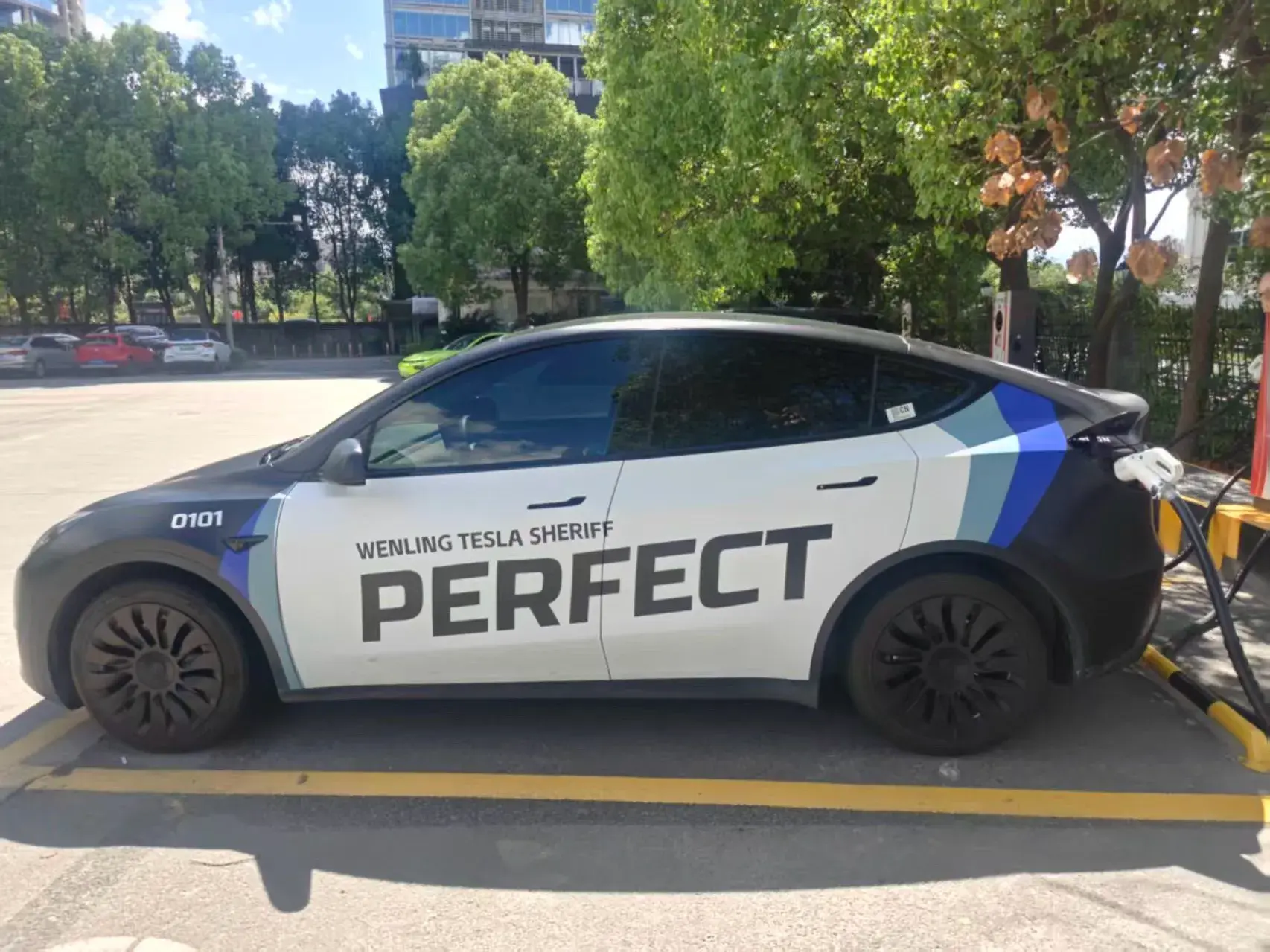 2021 TESLA MODEL thumbnail 3