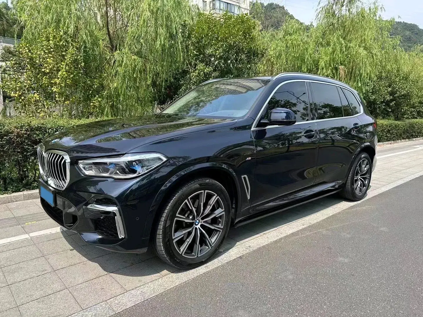 2022 BMW X5 view 1