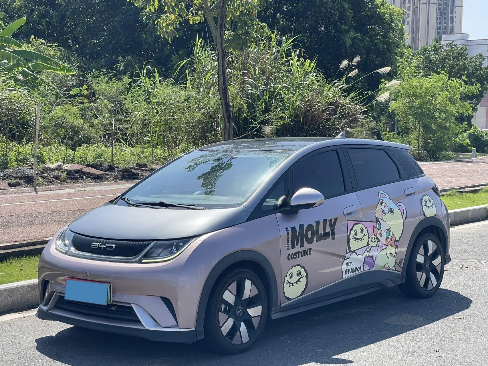 2023 BYD SEAGULL view 1