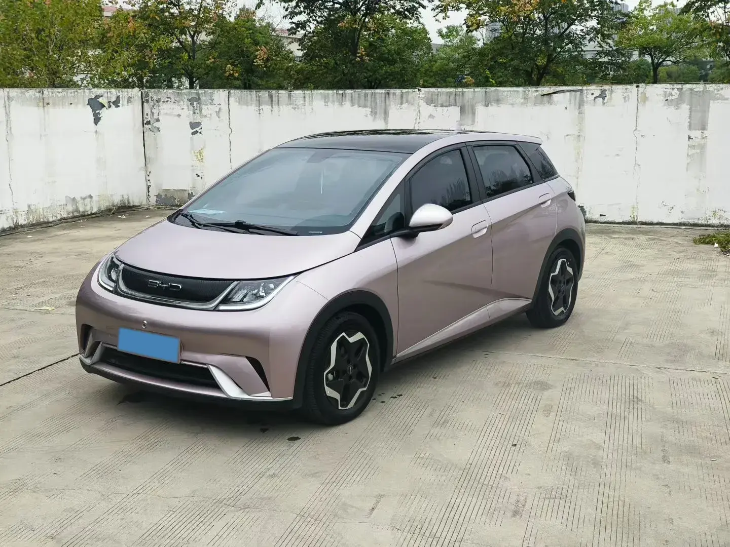 2021 BYD DOLPHIN view 1