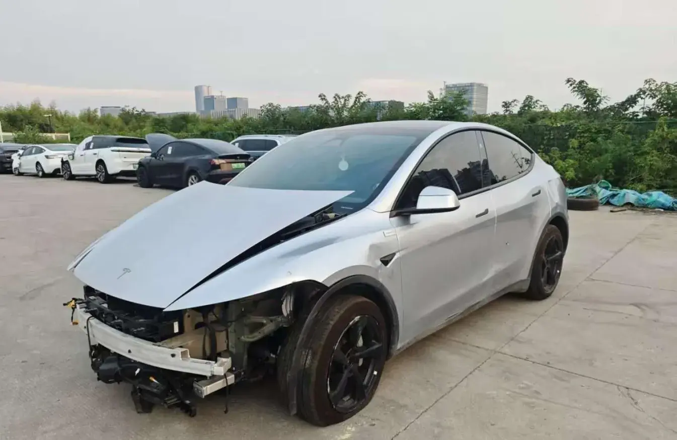 2025 TESLA MODEL view 1