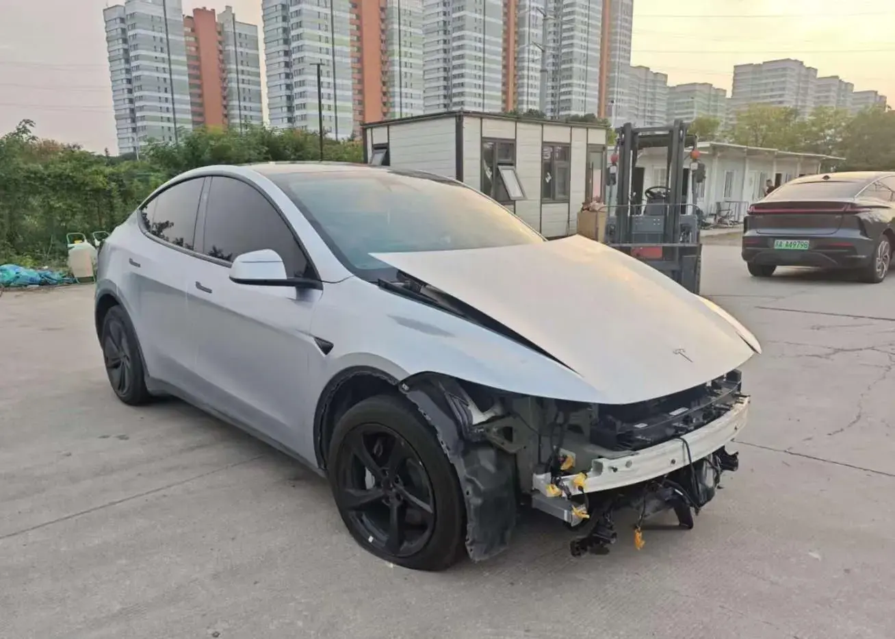 2025 TESLA MODEL thumbnail 2