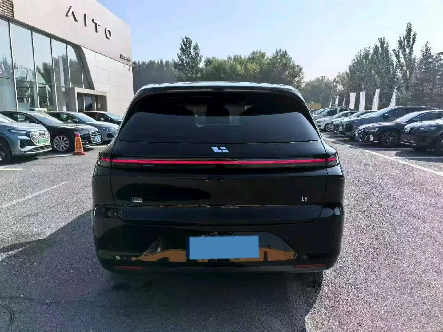 2025 LI L6 thumbnail 4