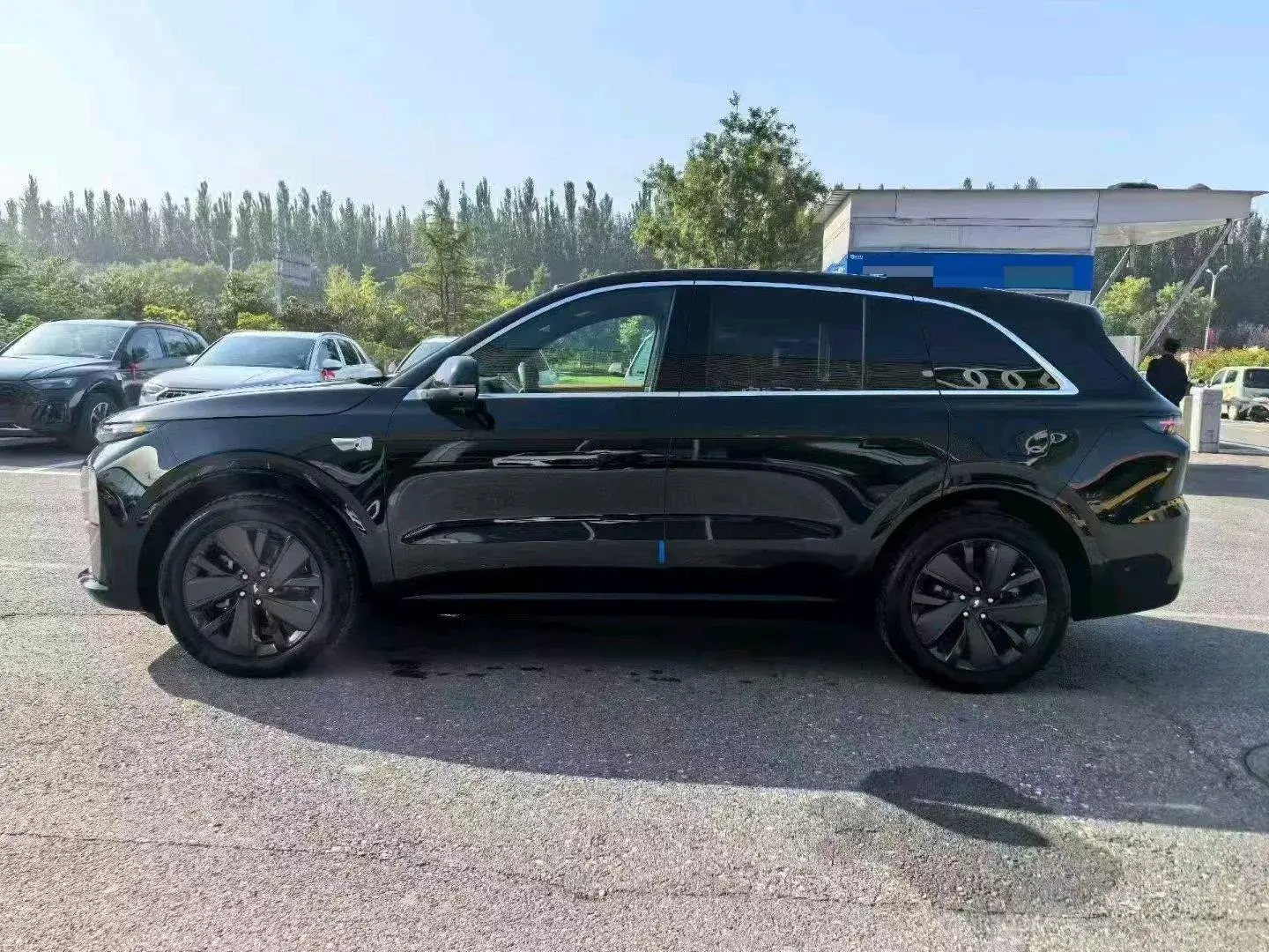 2025 LI L6 thumbnail 3