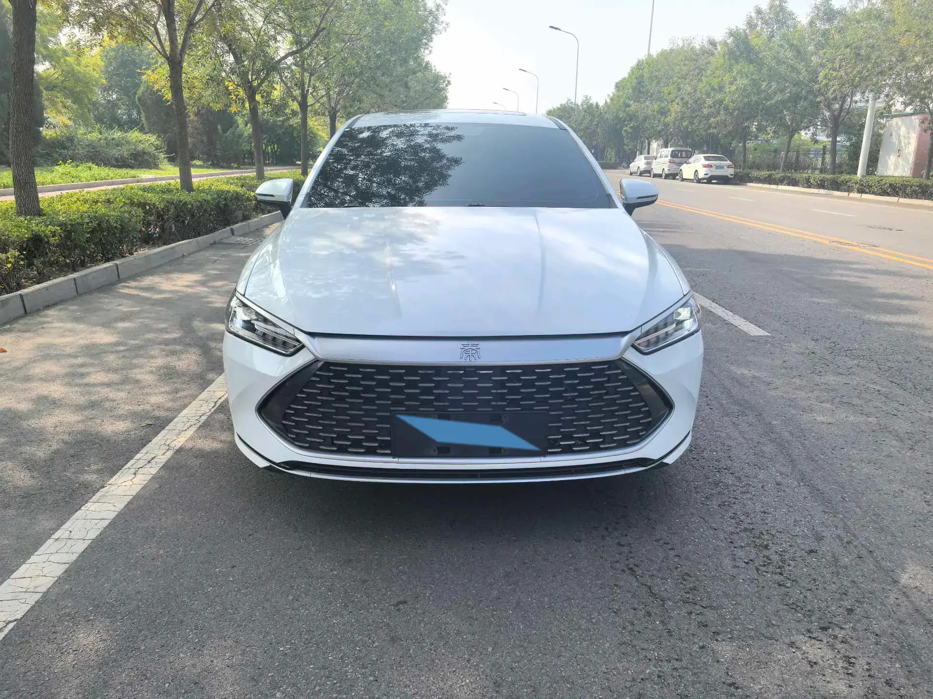 2021 BYD QIN thumbnail 2