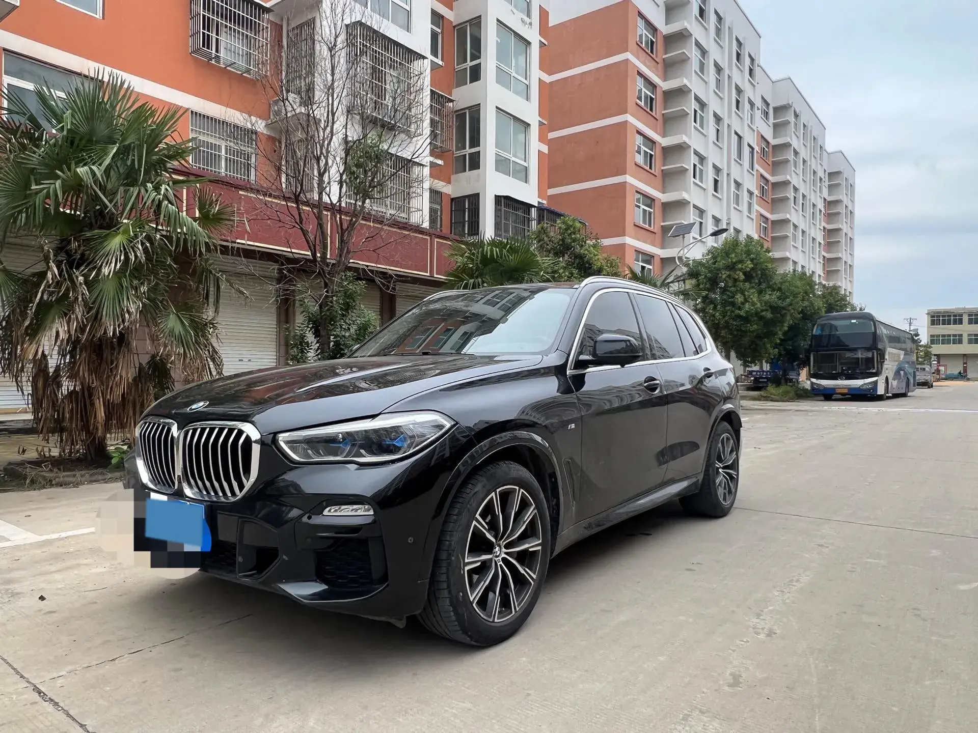 2020 BMW X5 view 1