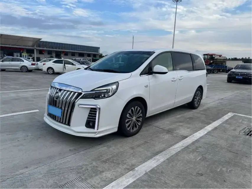 2021 BUICK GL8 view 1