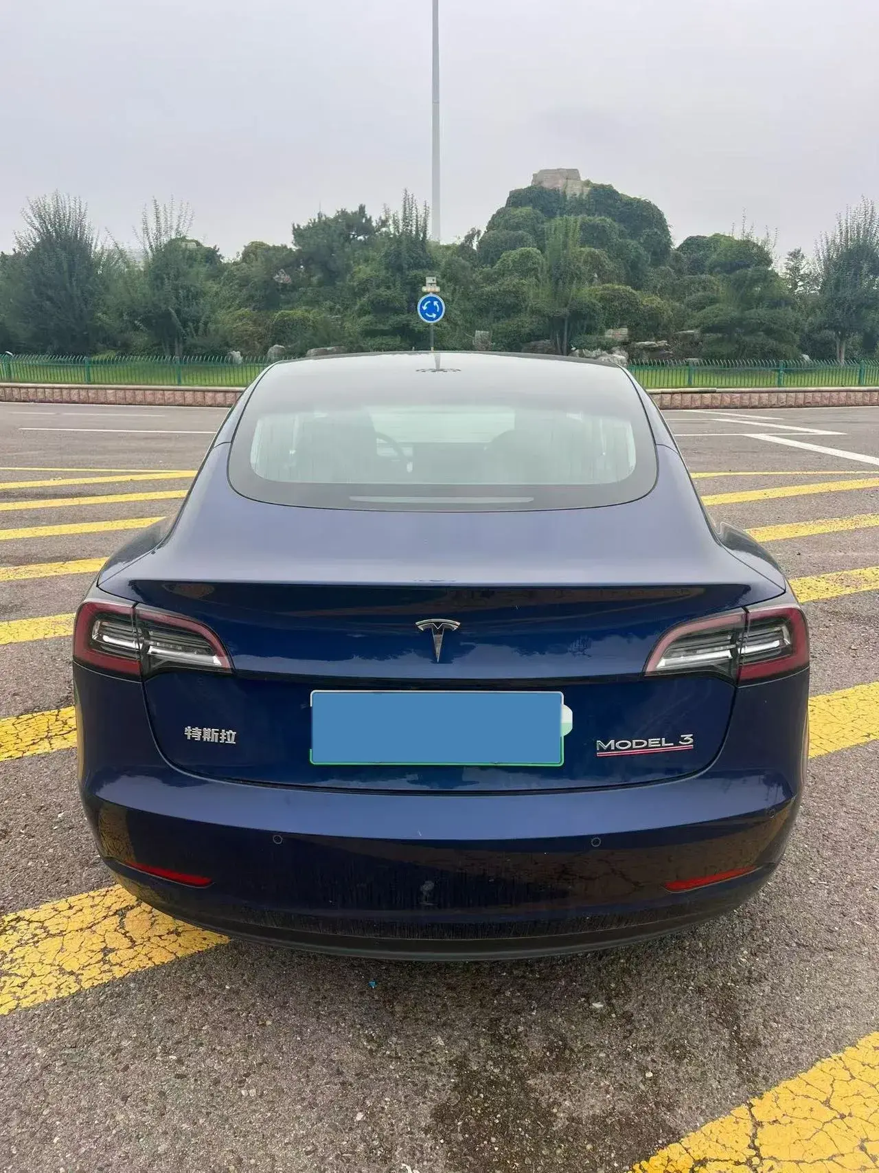 2020 TESLA MODEL thumbnail 4