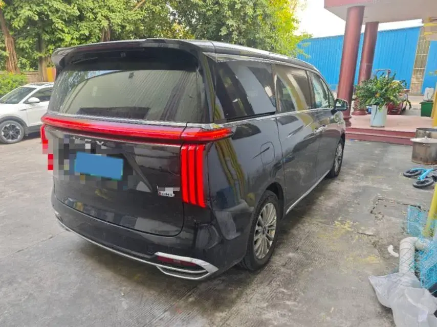 2024 HONGQI HQ9 thumbnail 4