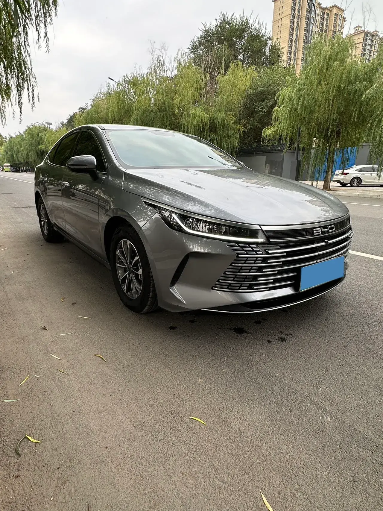 2024 BYD DESTROYER thumbnail 2