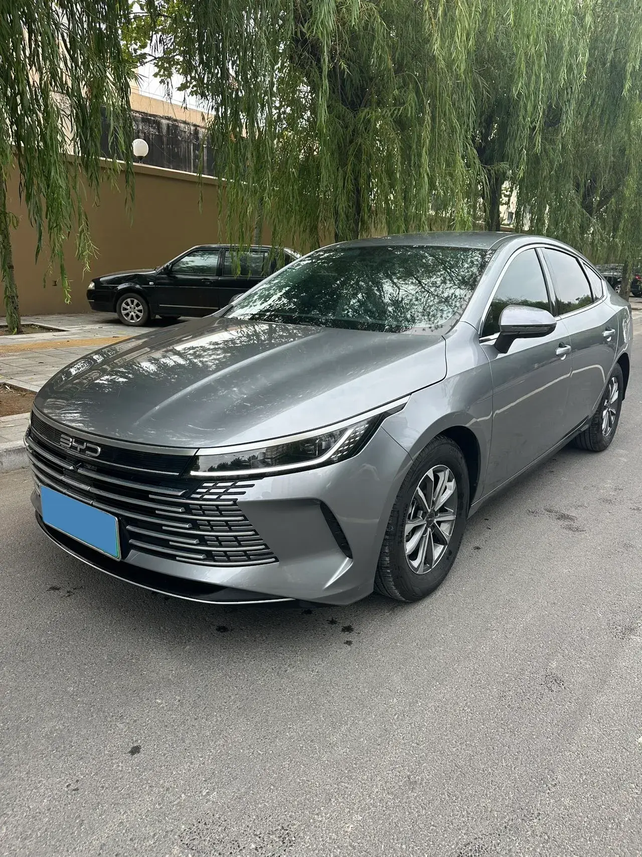 2024 BYD DESTROYER view 1