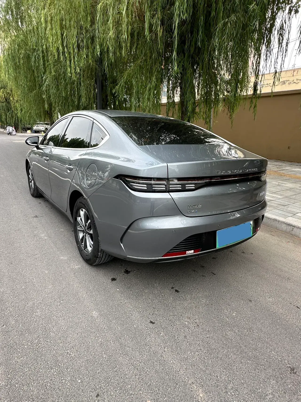 2024 BYD DESTROYER thumbnail 4