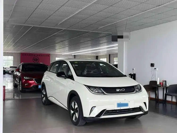 2025 BYD DOLPHIN thumbnail 4