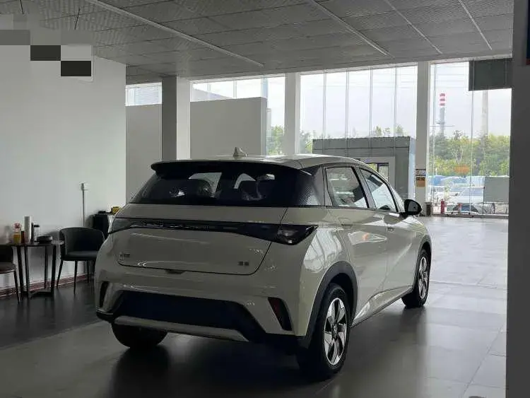 2025 BYD DOLPHIN thumbnail 3