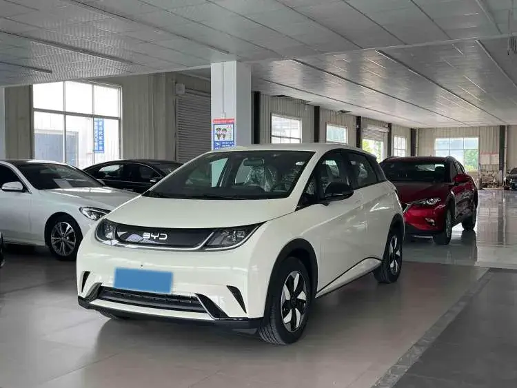 2025 BYD DOLPHIN view 1