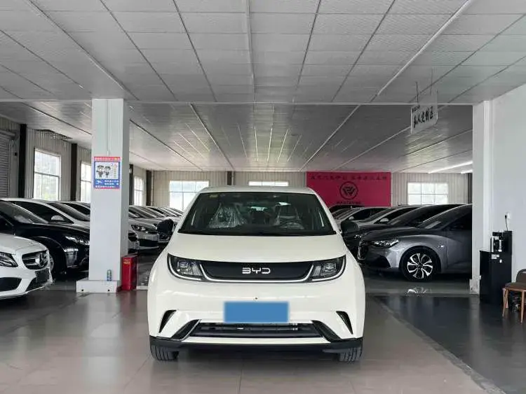 2025 BYD DOLPHIN thumbnail 2