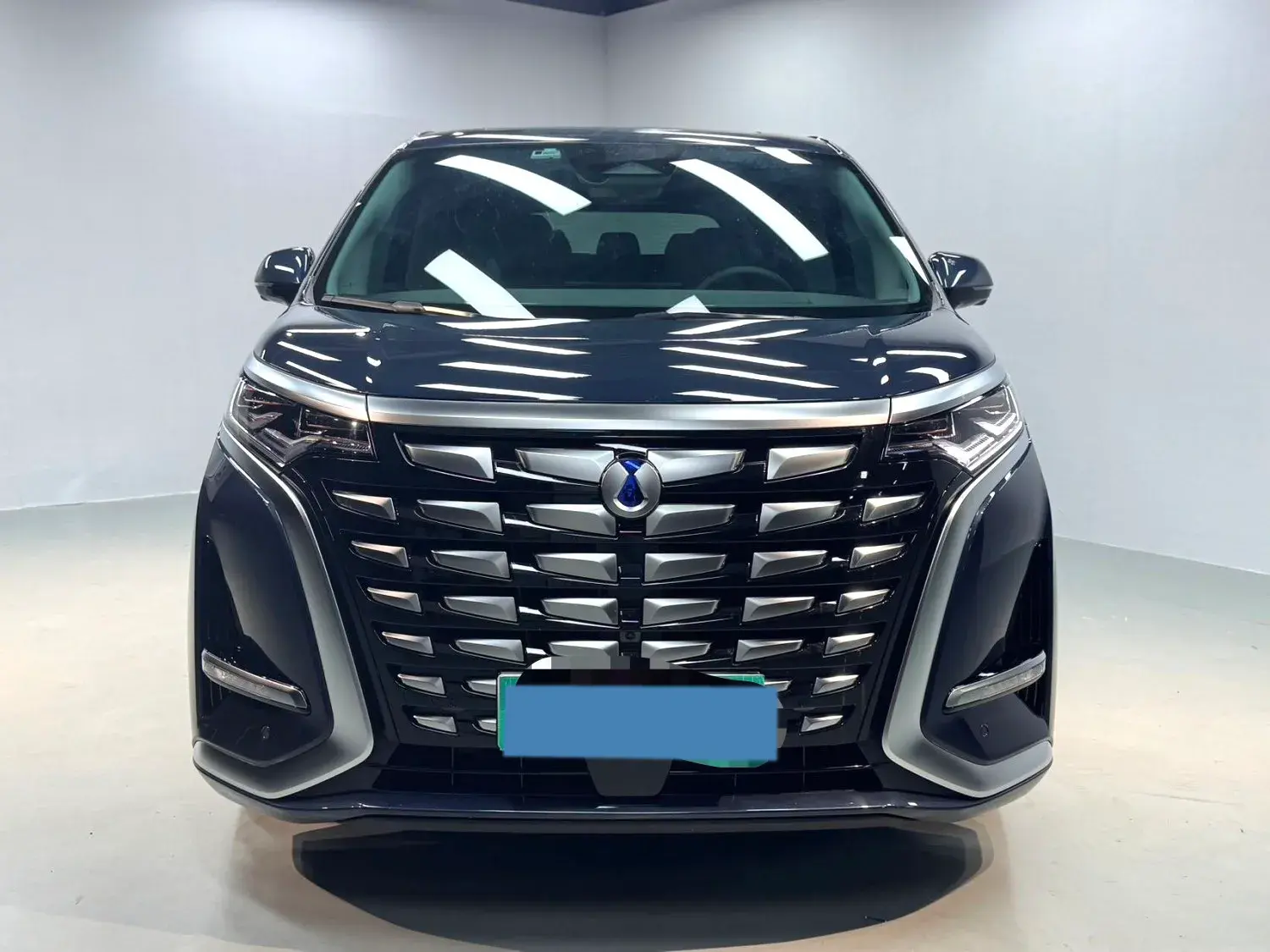 2022 DENZA D9 thumbnail 2