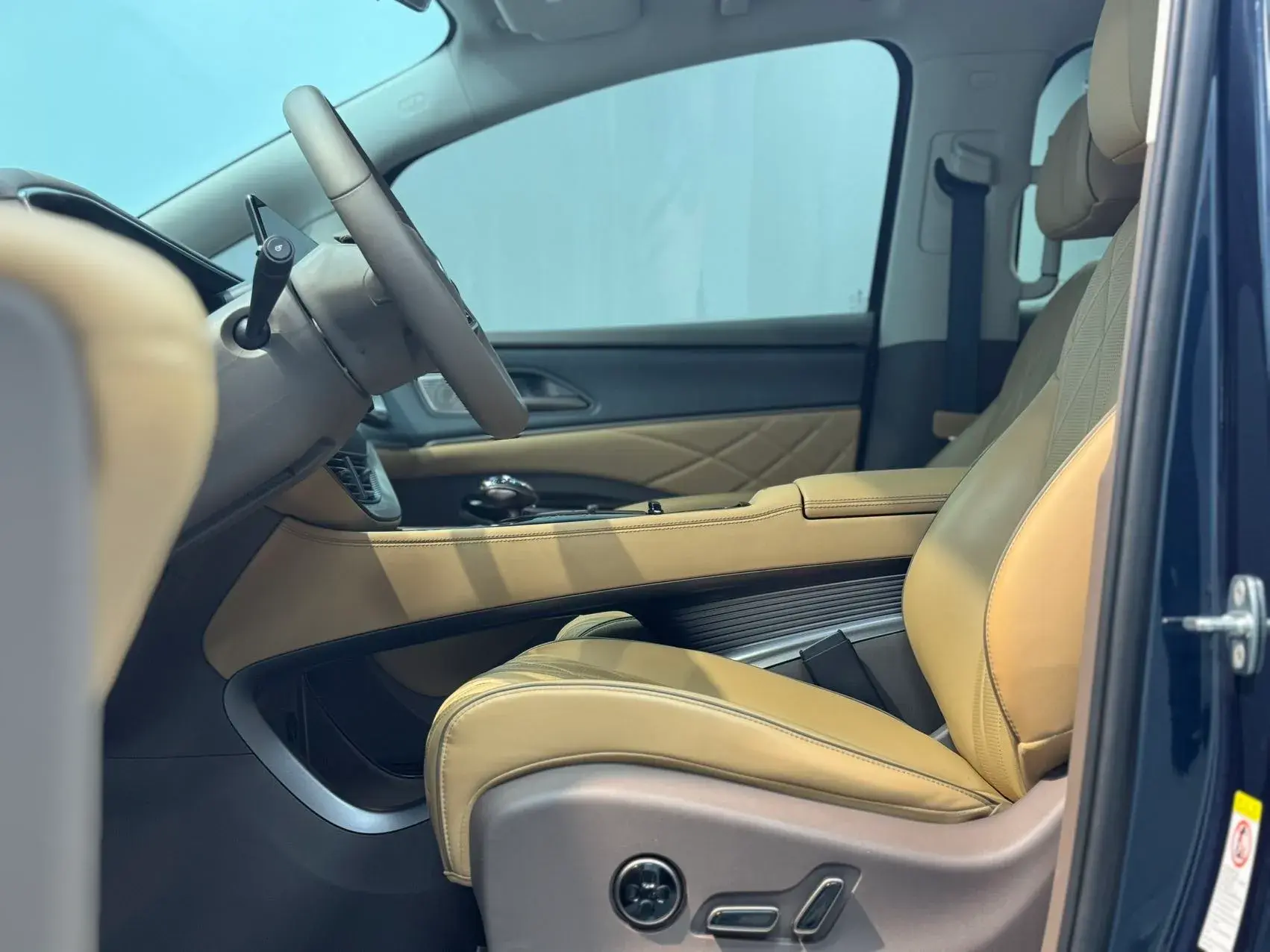 2022 DENZA D9 thumbnail 4