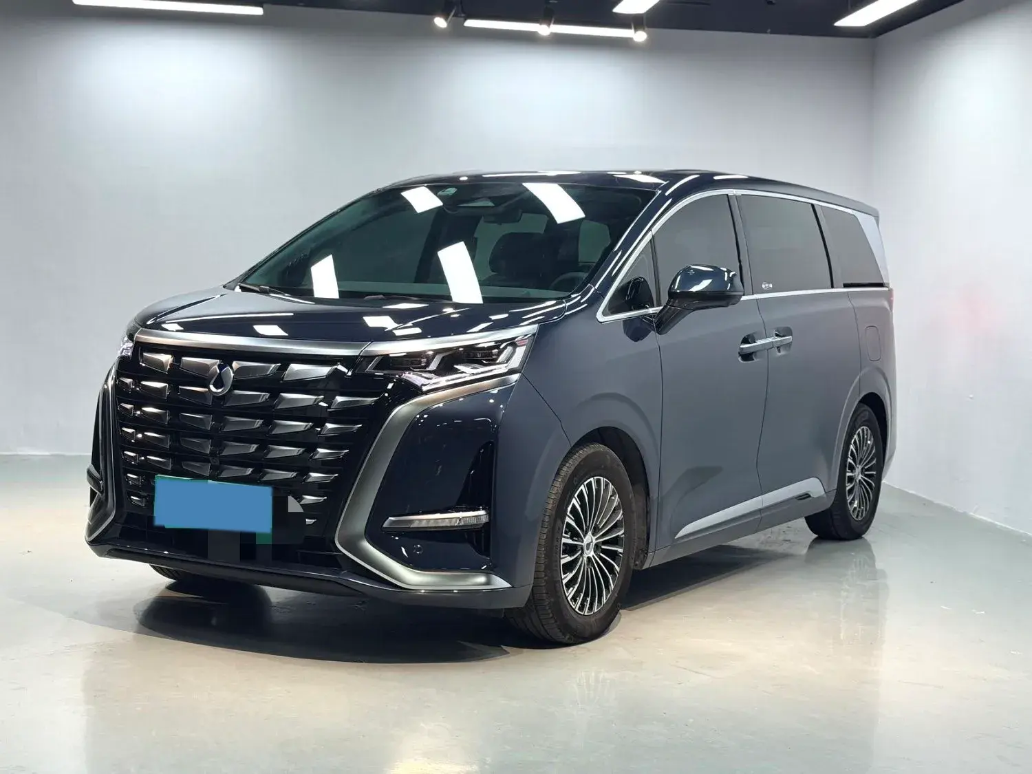 2022 DENZA D9 view 1