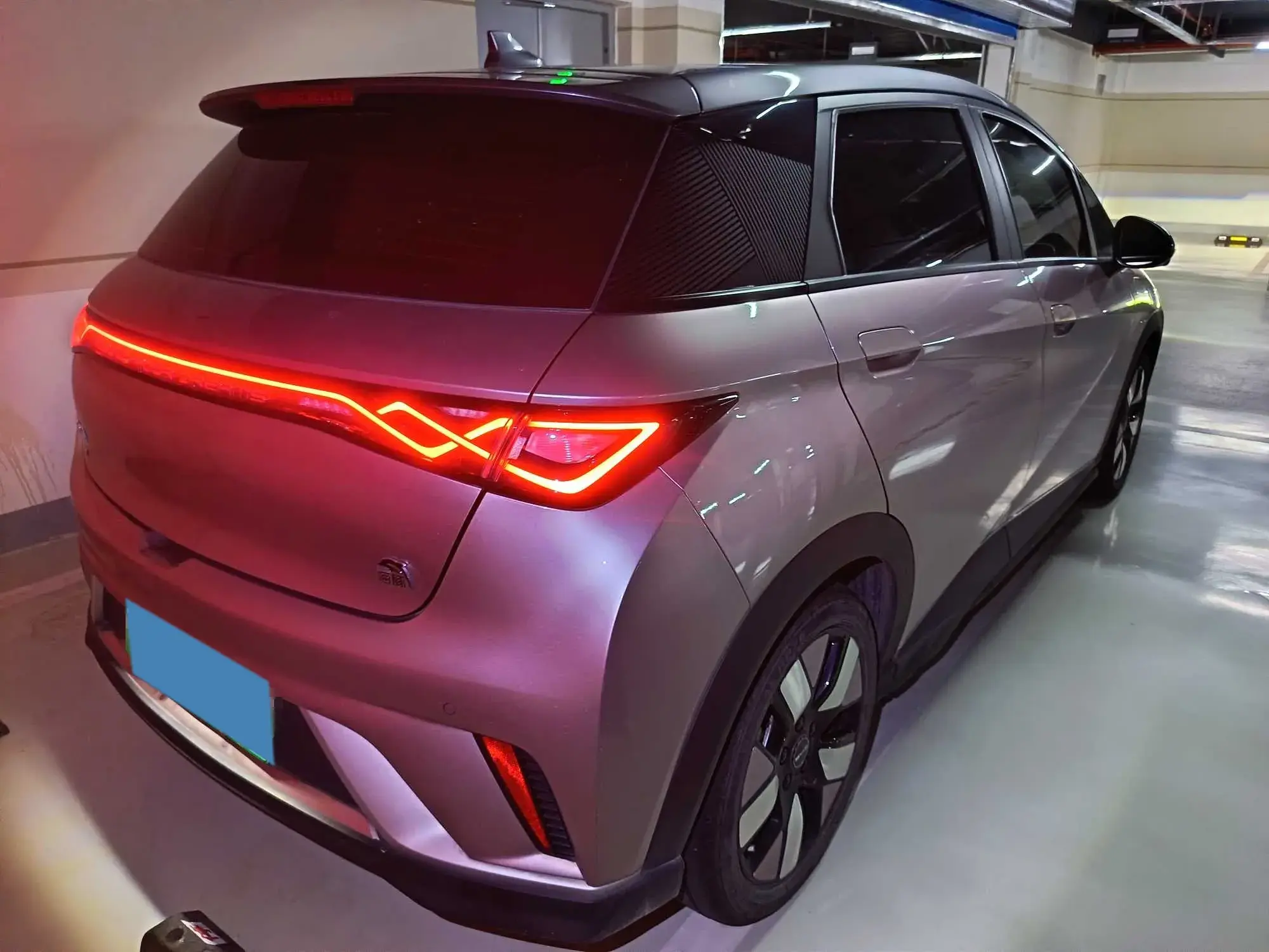 2021 BYD DOLPHIN thumbnail 2