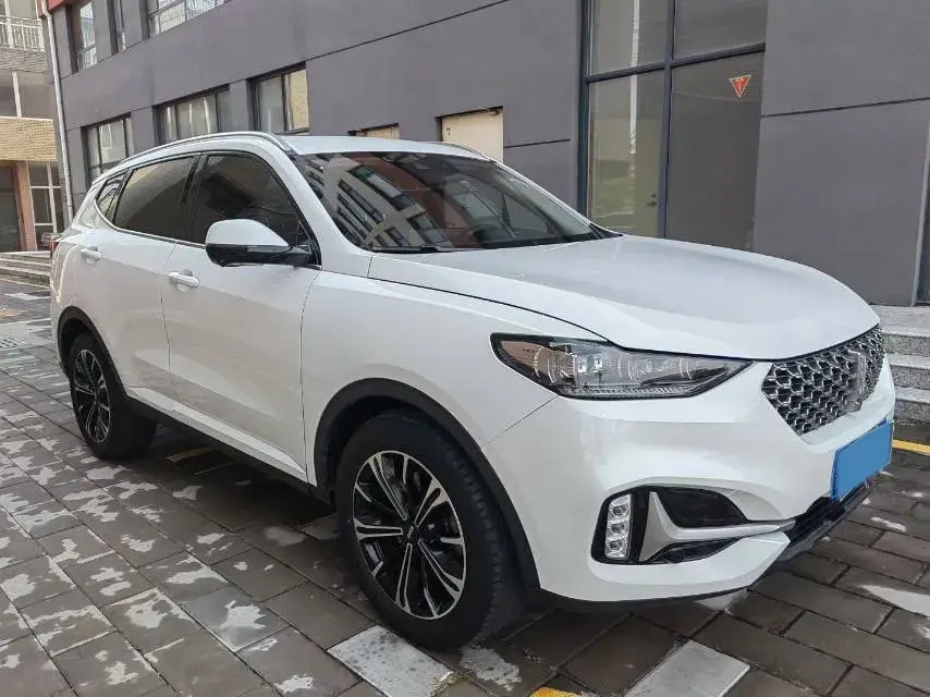 2021 WEY VV6 thumbnail 3