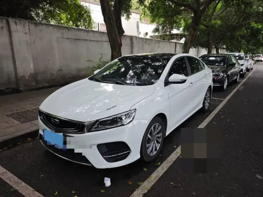 2019 GEELY BINRAY view 1