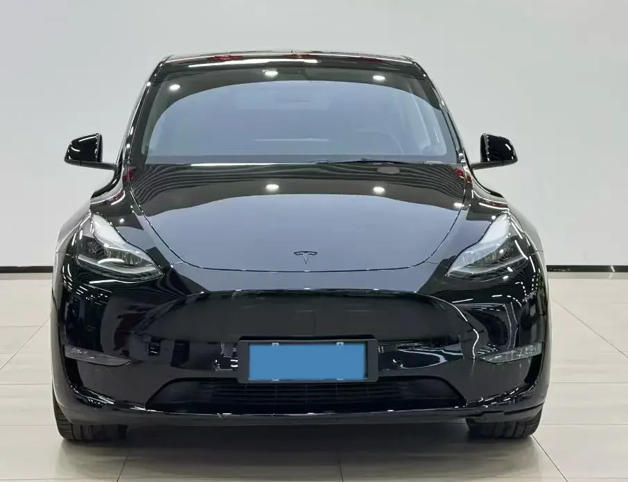 2021 TESLA MODEL thumbnail 2