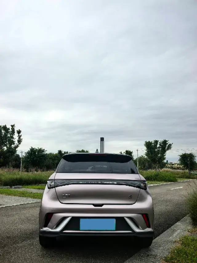 2023 BYD DOLPHIN thumbnail 4