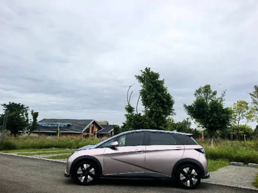 2023 BYD DOLPHIN thumbnail 3