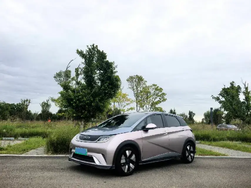 2023 BYD DOLPHIN view 1