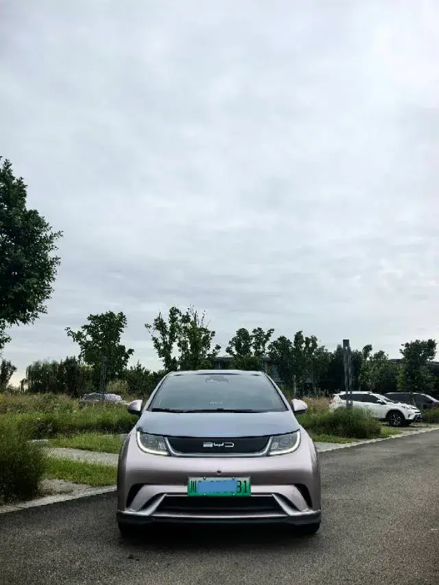 2023 BYD DOLPHIN thumbnail 2