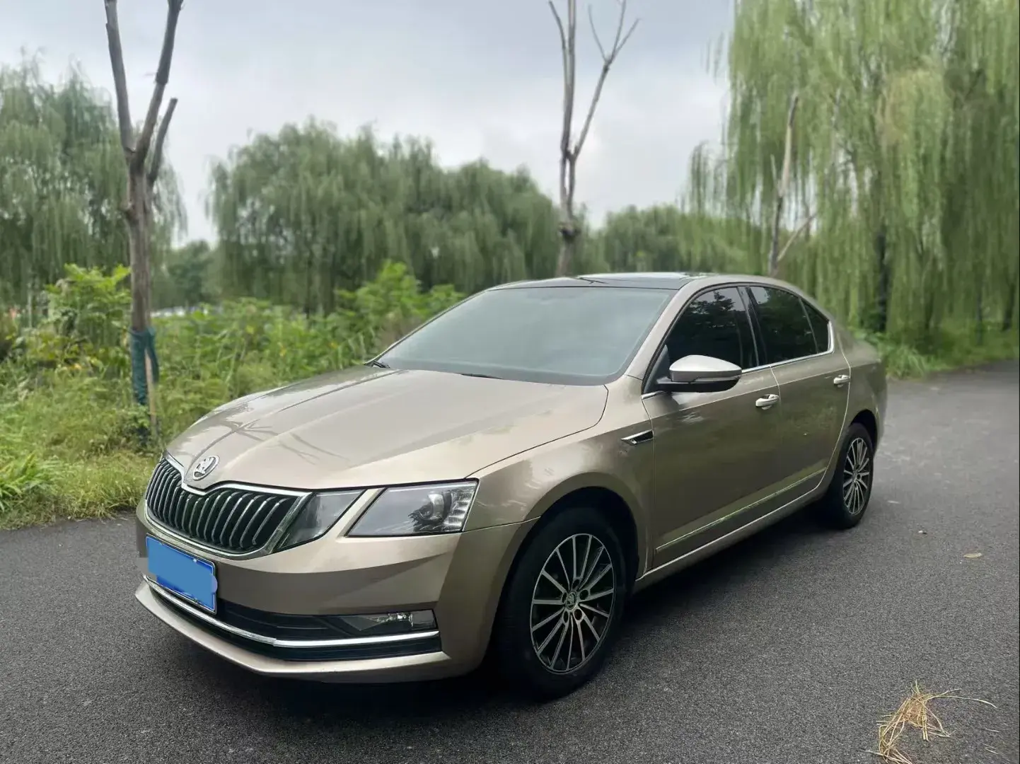2019 SKODA OCTAVIA view 1