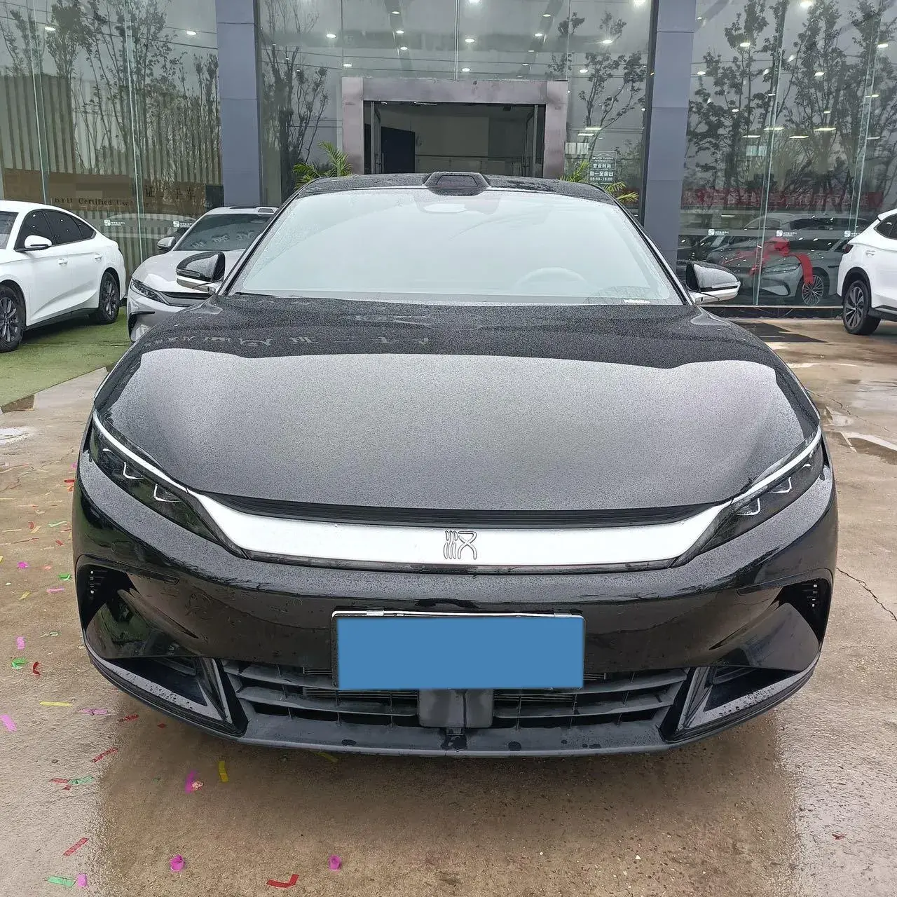 2025 BYD HAN thumbnail 2