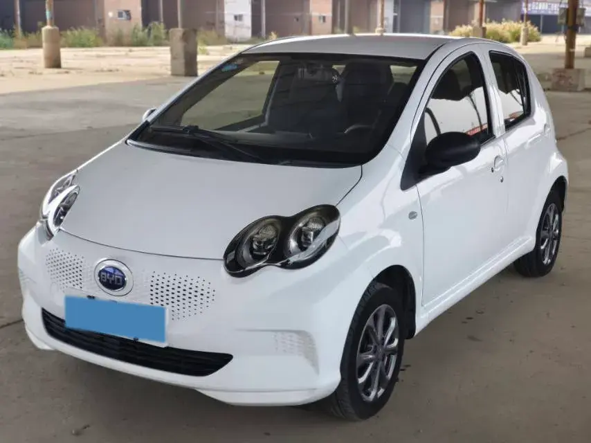 2019 BYD E1 view 1
