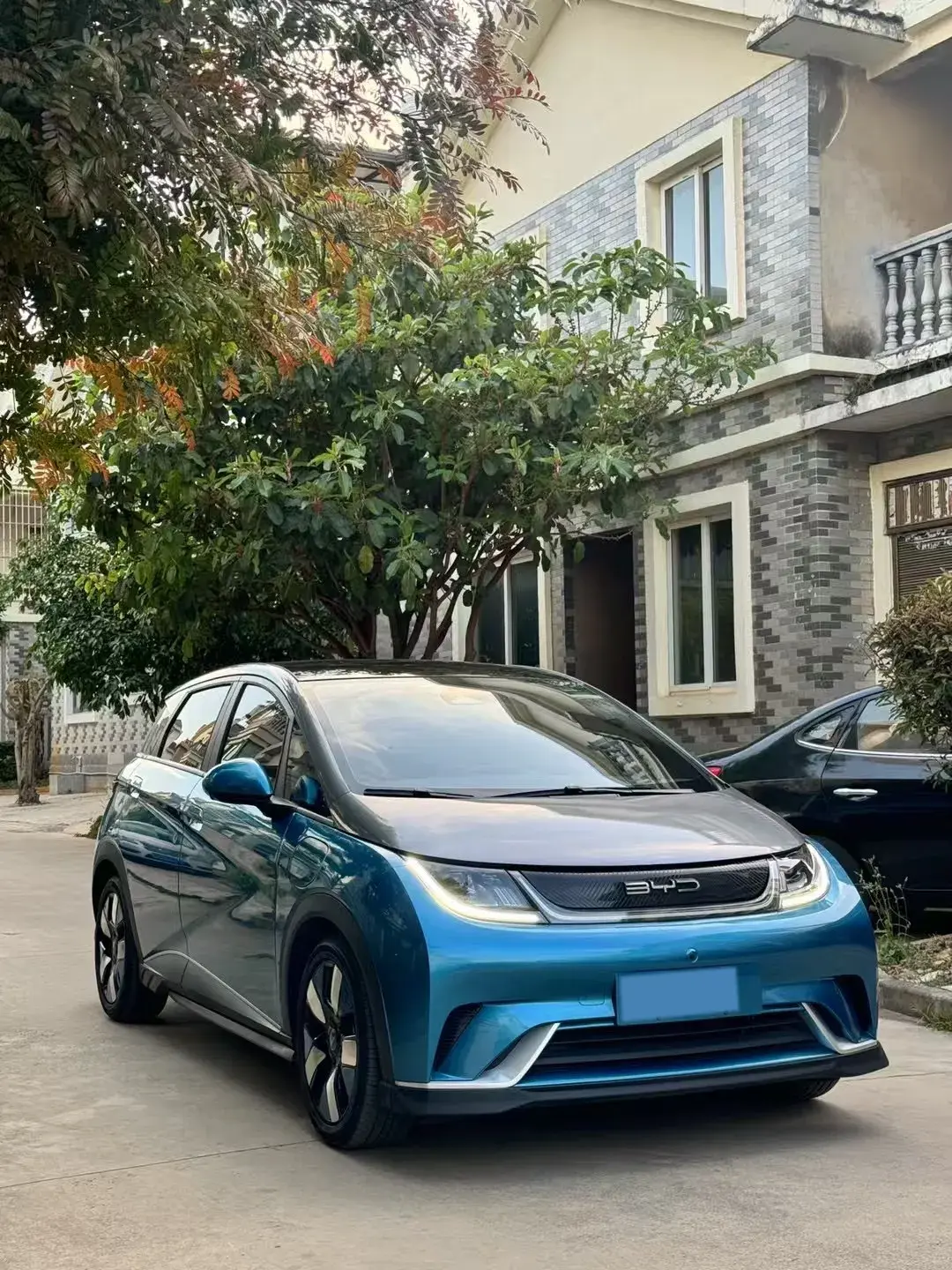 2021 BYD DOLPHIN thumbnail 3