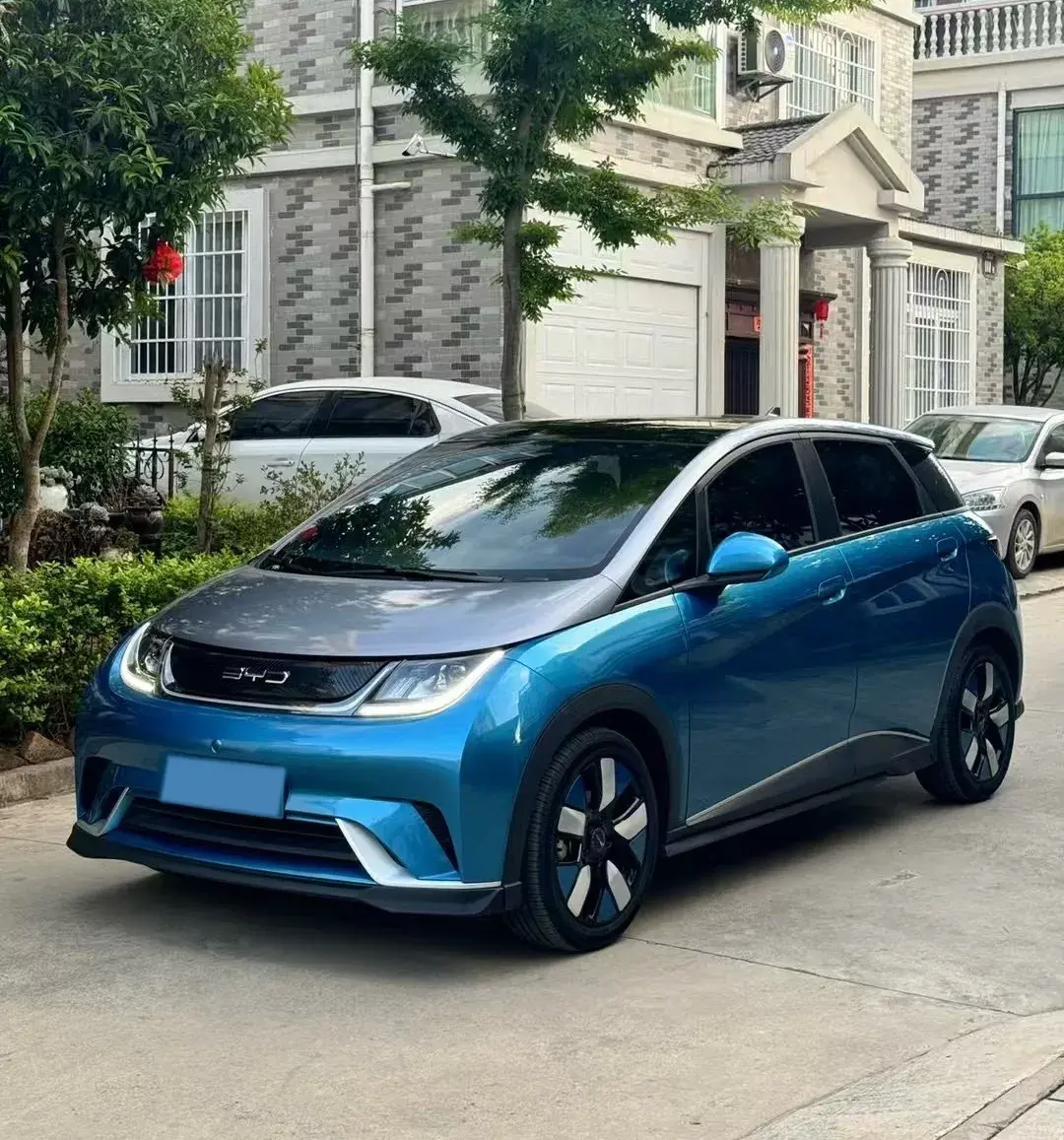 2021 BYD DOLPHIN view 1