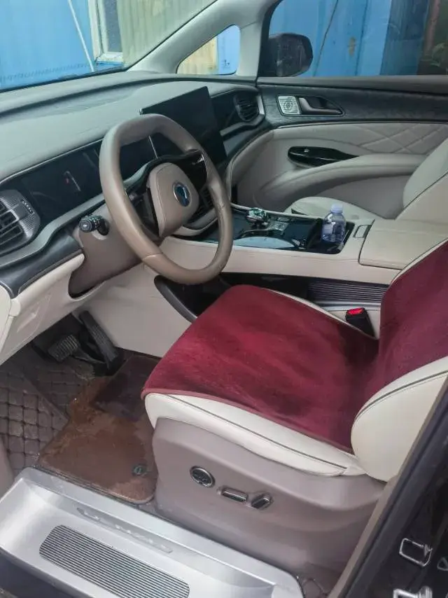 2022 DENZA D9 thumbnail 2