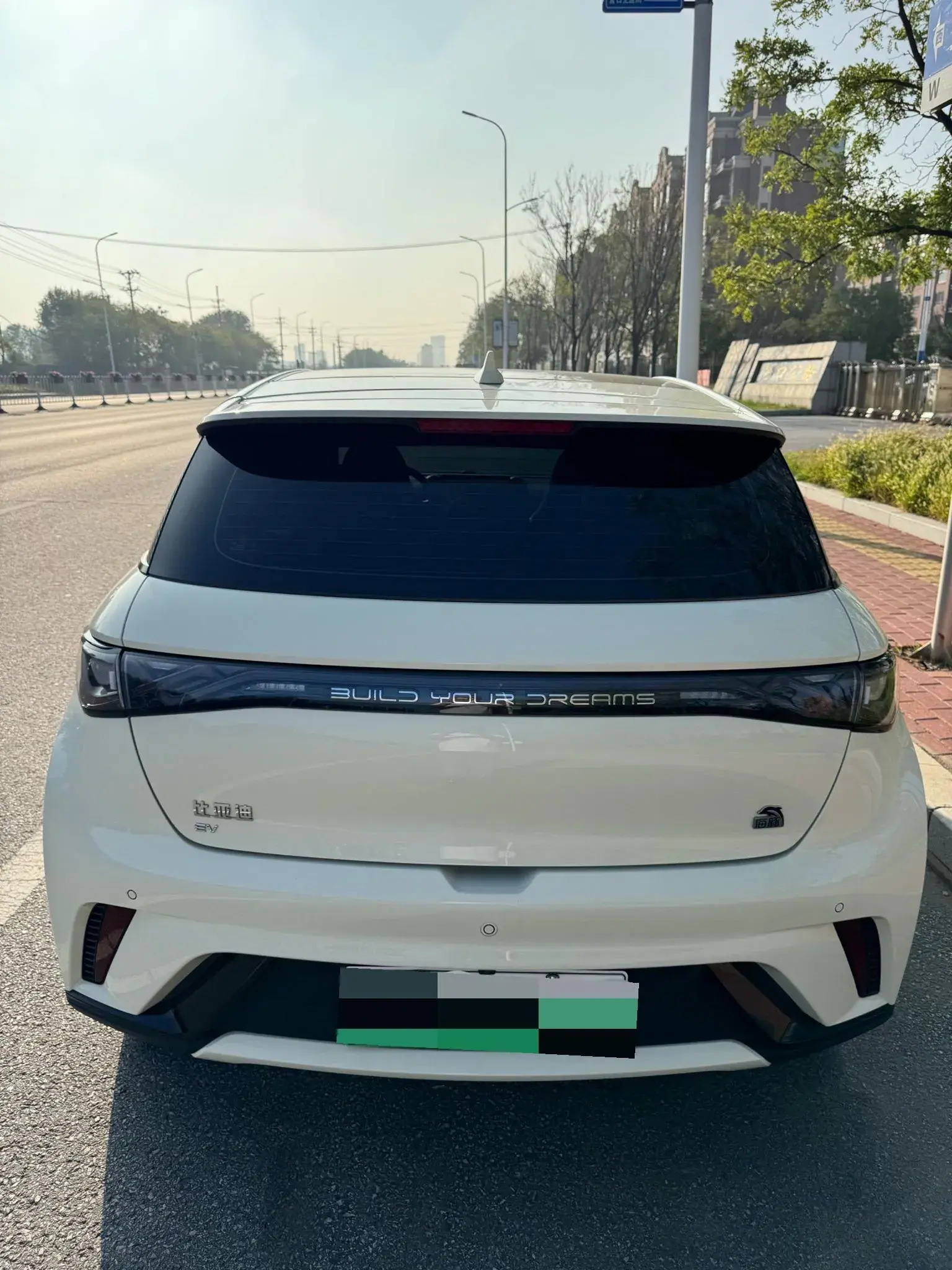 2021 BYD DOLPHIN thumbnail 3