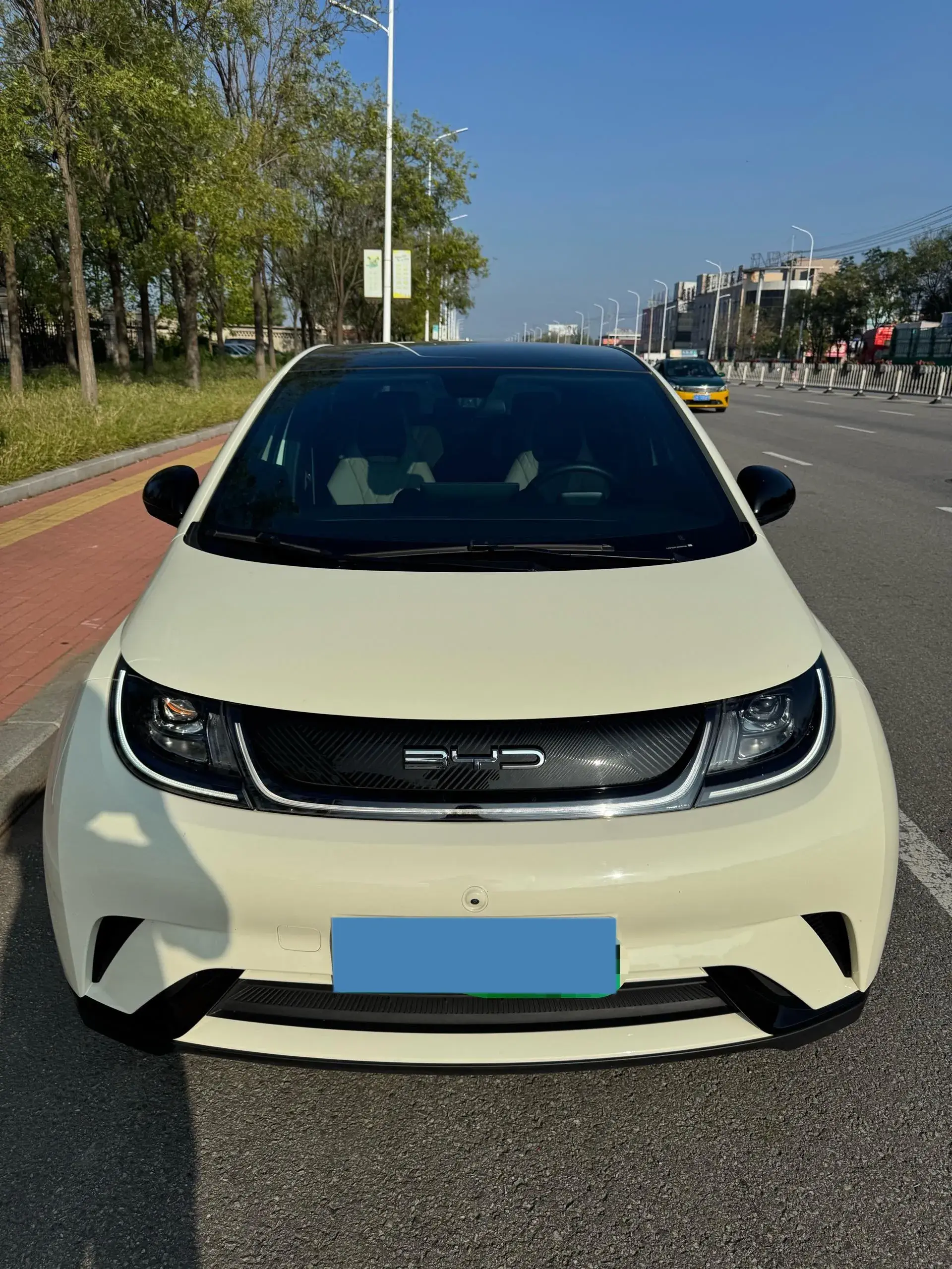 2021 BYD DOLPHIN thumbnail 2