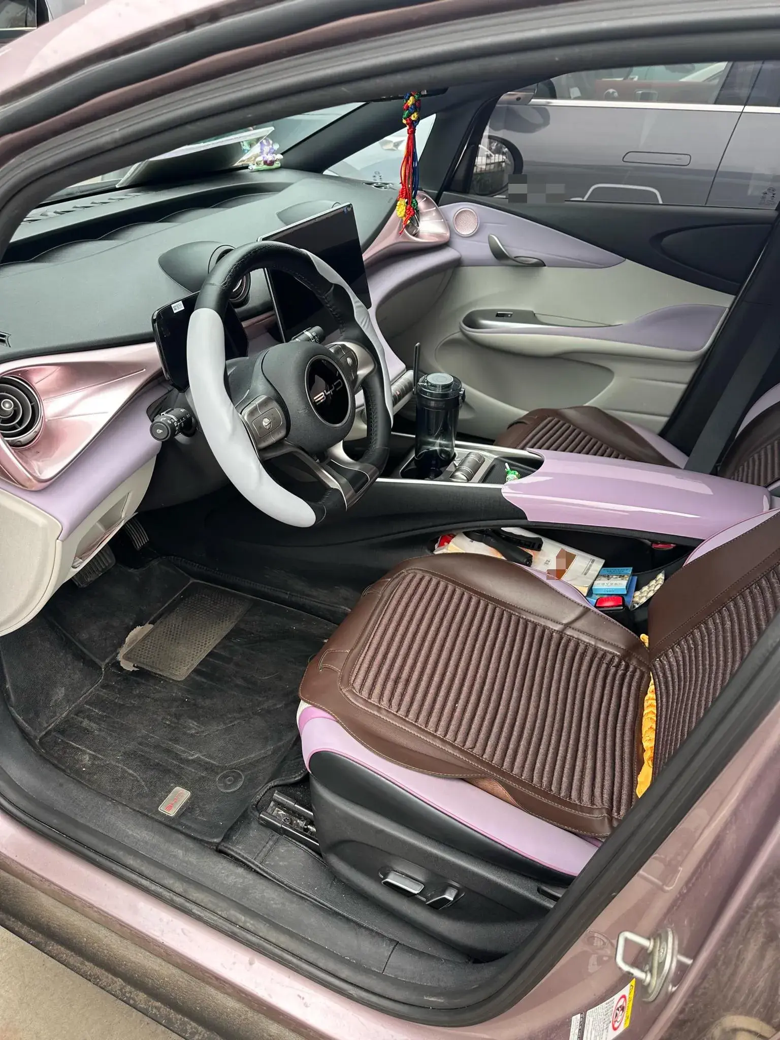 2023 BYD DOLPHIN thumbnail 2