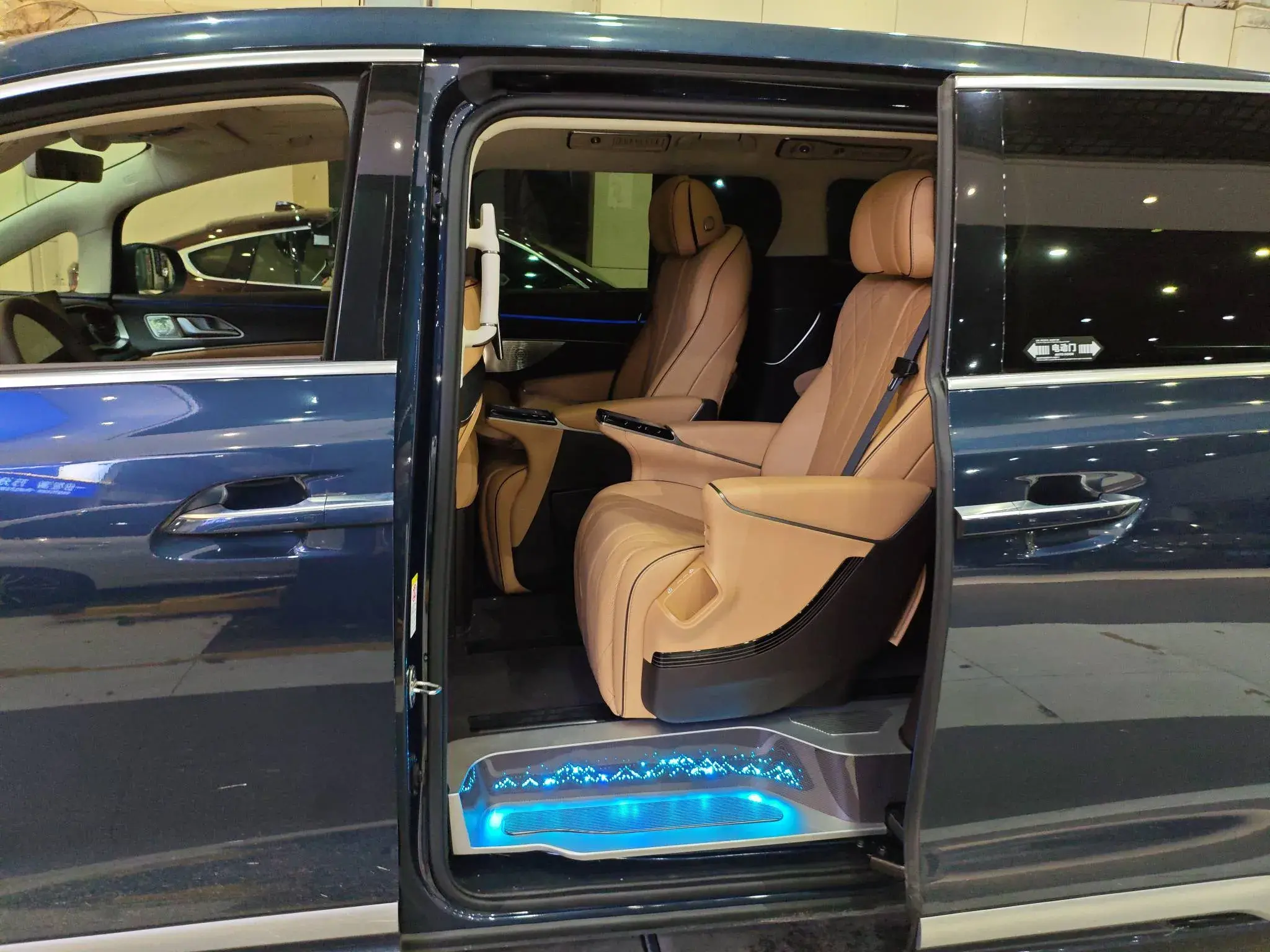 2024 DENZA D9 thumbnail 2