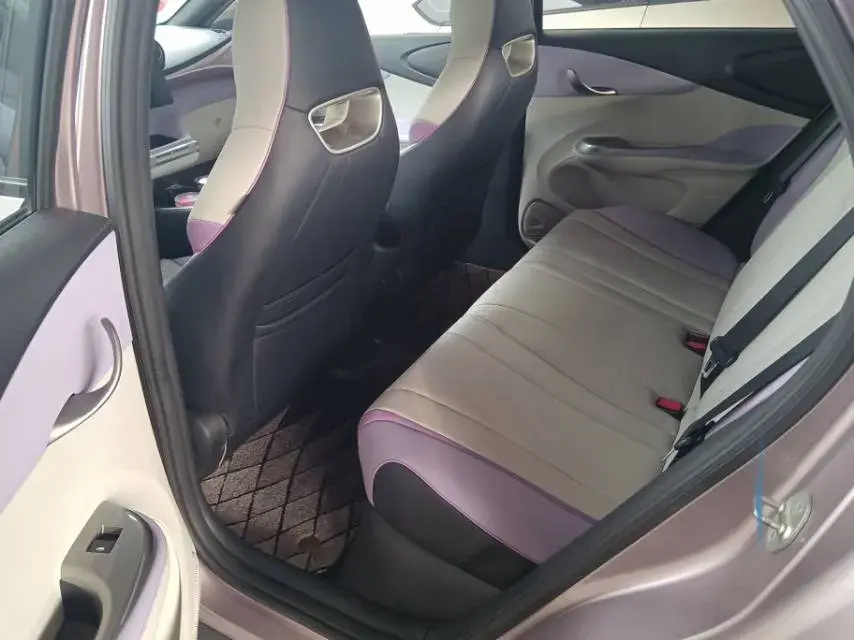 2023 BYD DOLPHIN thumbnail 4