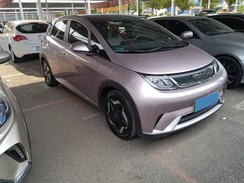 2023 BYD DOLPHIN thumbnail 2