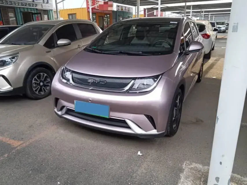 2023 BYD DOLPHIN view 1