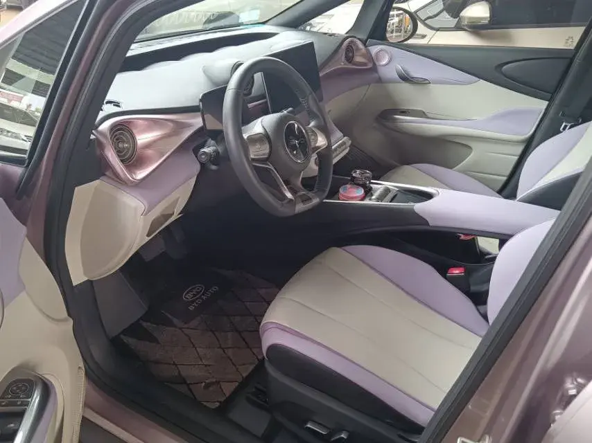 2023 BYD DOLPHIN thumbnail 3