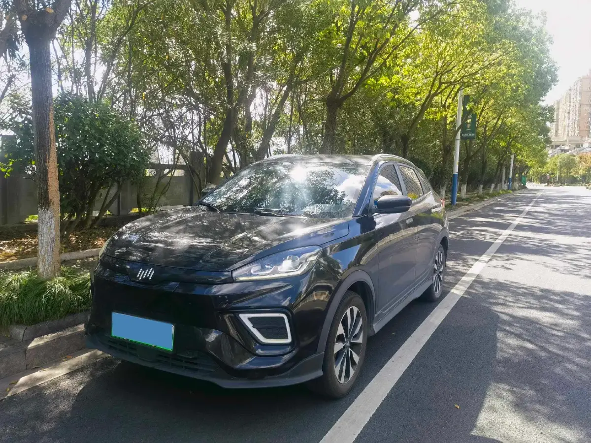 2020 Weltmeister EX5 BEV 52.56KWH